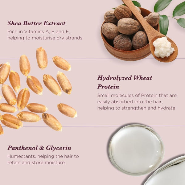 Cleanse & Treat Mini Essentials Collection