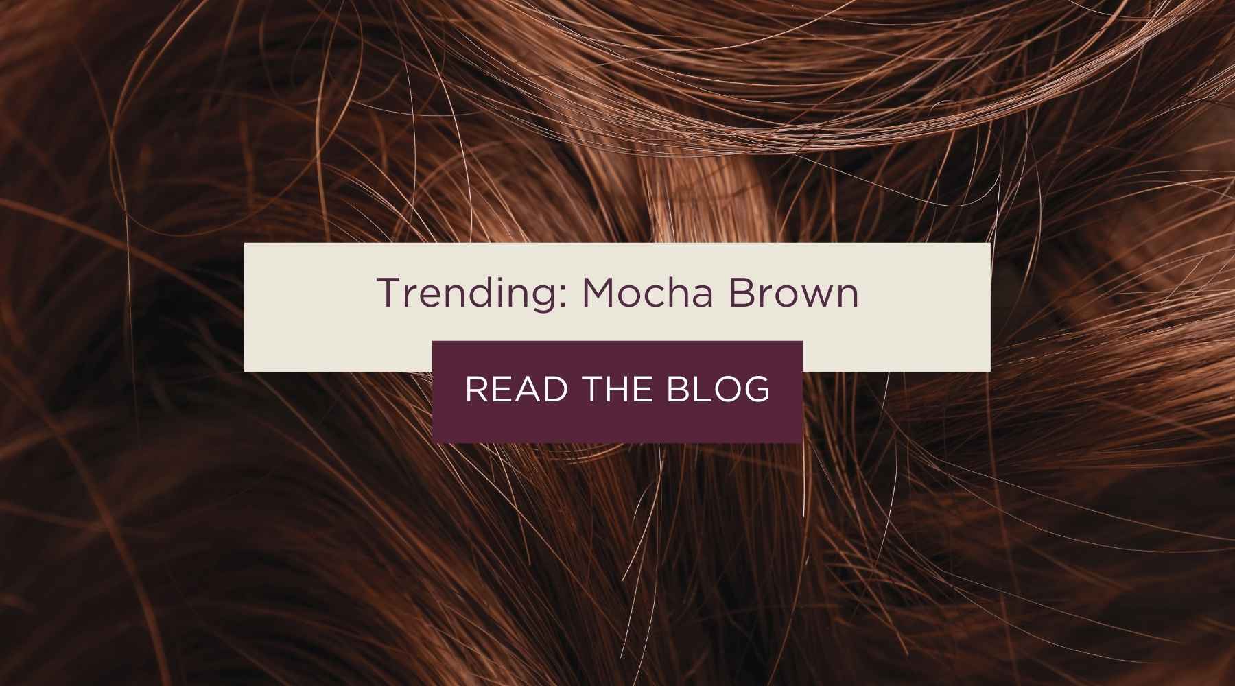articles/Braids_4_61600082-3412-4340-aa95-3cbbf48f9b72.jpg