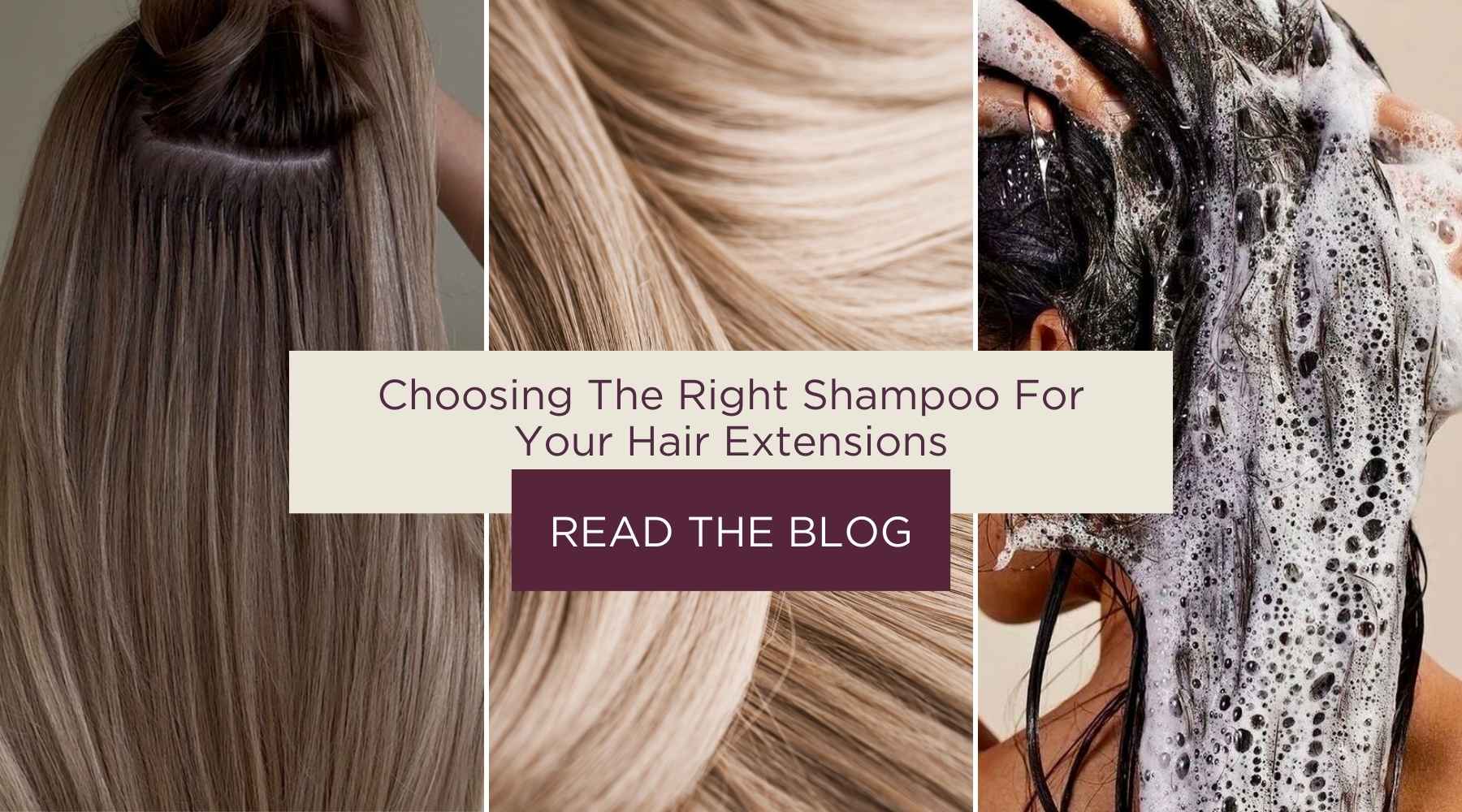 articles/Choosing_The_Right_Shampoo_For_Your_Hair_Extensions_7b62f9ff-49a3-4924-a190-397405e54690.jpg