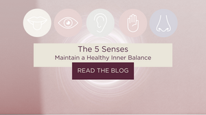 Connect To Your Senses