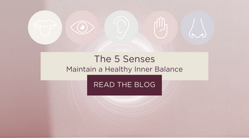 Connect To Your Senses