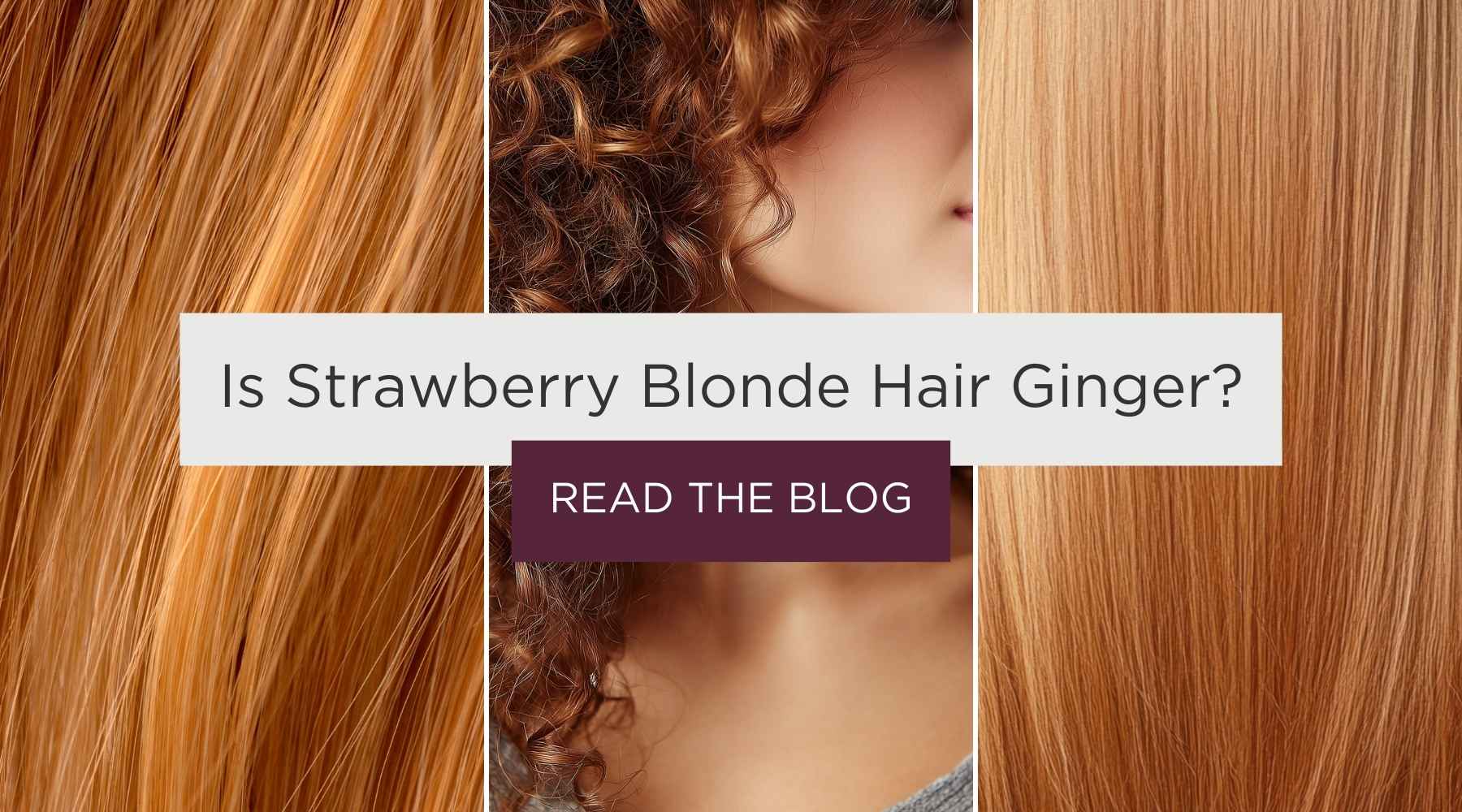 articles/Strawberry_Blonde_Hair_fa31c7de-680b-4f16-ab98-906c9ea29b01.jpg