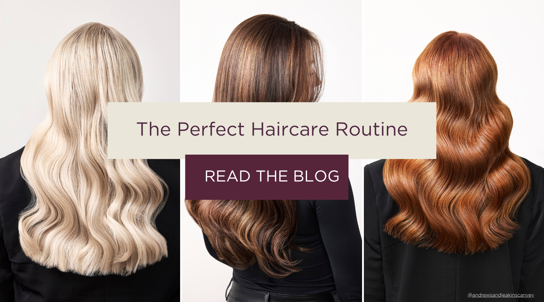 How To Create The Perfect Haircare Routine – Neal & Wolf