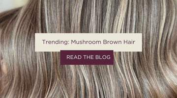 Mushroom Brown Hair