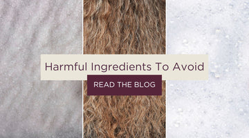 Roots of Concern: Harmful Ingredients in Hair Products to Avoid and Check For