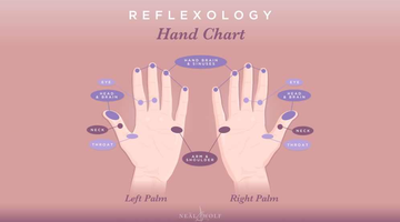 Relaxology: A Quick Guide To Hand Reflexology