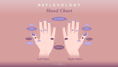 Relaxology: An everyday guide to quick relaxation from Elysian