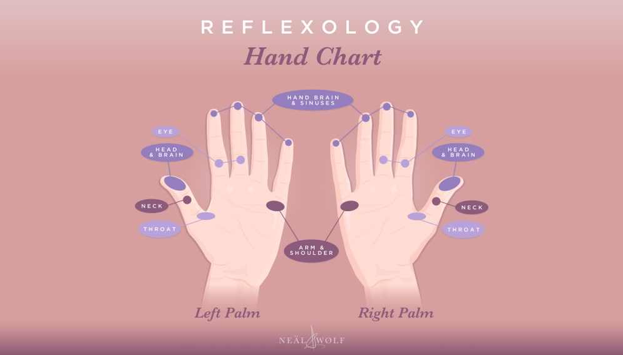 Relaxology: A Quick Guide To Hand Reflexology – Neal & Wolf