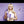 Load and play video in Gallery viewer, BLONDE Collection Purple Shampoo &amp; Conditioner Gift Set
